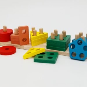 Montessori Wooden Shape Sorter
